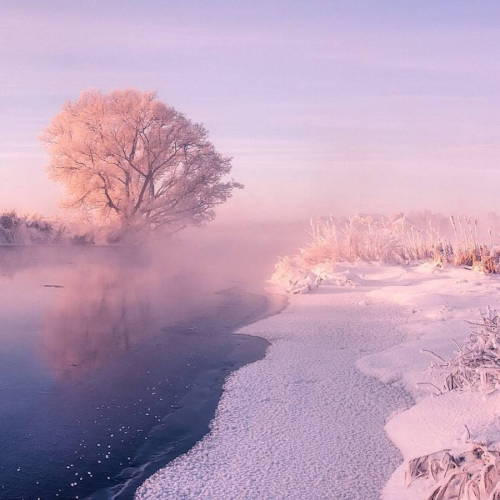 landscape-photo-graphy: Photographer Captures the Pastel Pink and Blue Hues of a Snowy Landscape Pho