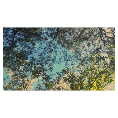 14/06/15 • makes me feel good sky/tree/star/cloud gazing #fmsphotoaday #nature #sky #love