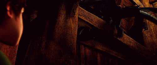 rnarisass:something interesting to note about toothless’s character is that he is the only dragon in