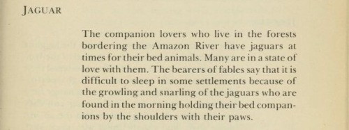 Monique Wittig & Sande Zeig, Lesbian Peoples: Material for a Dictionary