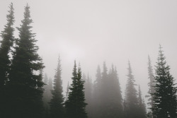 upclosefromafar:  secretcities:  the Veil / Mt Rainier   ~My Hidden Nirvana ~
