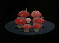Thedruidsteaparty:  “I Am… A Mushroom; On Whom The Dew Of Heaven Drops Now And