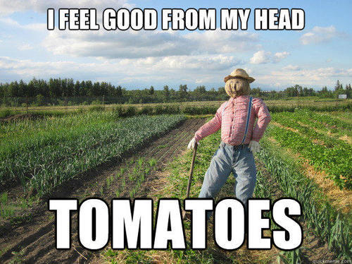 dekutree:  airoe: regigigas-fils-aime:  I AM 1,000% ALL ABOUT FARM MEMES     