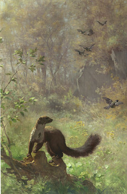 artistsanimals:Title: Weasel on WatchArtist: Francois Furet (Swiss)Date: c. 1890Medium: Oil on CanvasSize: 59 ¼ x 39 ½ inchesSource: National Museum of Wildlife Art