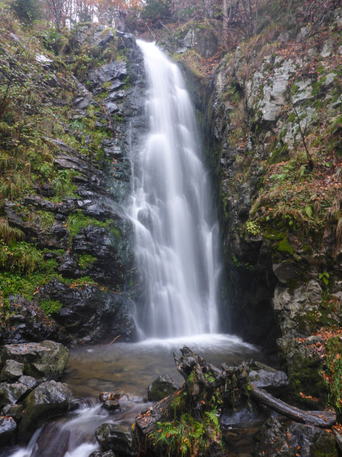 blackforestnature: Todtnau waterfall above the main Step.