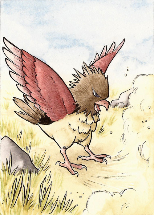 Ahh, Spearow And Fearow, The Scruffier And More Aggressive End Of The Gen 1 Bird Types. Fearow Was Harder