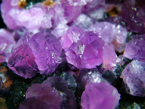 saepphire:  fuckyeahmineralogy:  Cobaltoan Calcite; Agoudal, Morocco   ❁