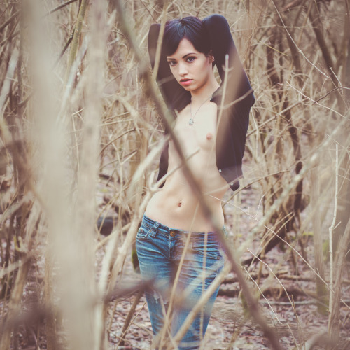 poshporn:  To darken nature and be summer woods lucydominga:  Lucy Dominga by Travelers Atlas