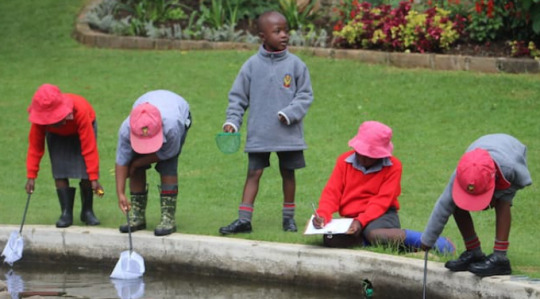 20 Kenya's Most Expensive Schools In 2022