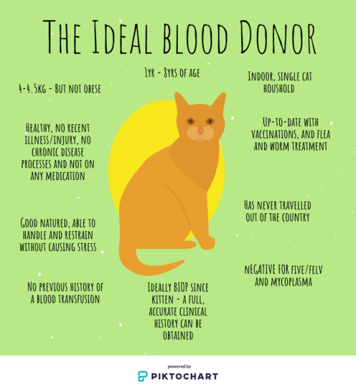 Thinking of setting up your own blood donation programme in your practice? These are the factor