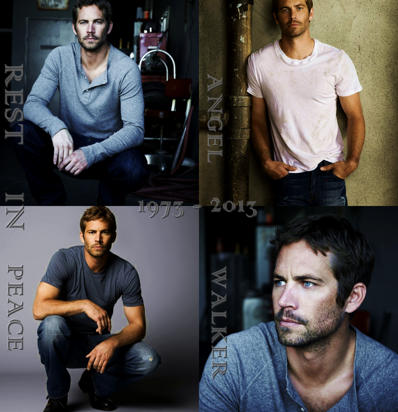 shatteredheartedits:  -Paul Walker Tribute. Re-blogging is permitted but please refrain
