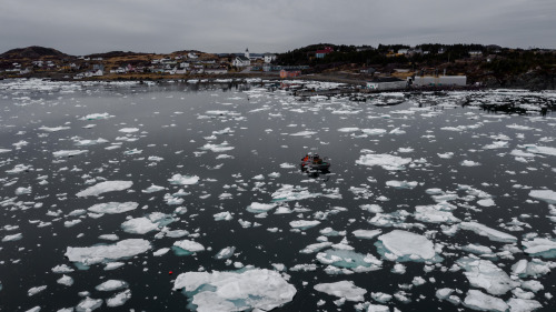 iced in - traveling through newfoundland and labrador 