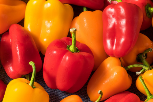 Mini Bell Peppers www.brenthofacker.com 