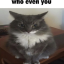 nopantsnodance