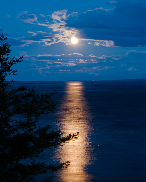 Amazing Moonrise by tpuerzer on Flickr.