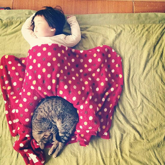 zambiunicorn:  sasaq:  Toco The Cat And His Human: Growing Up Together  I cried 