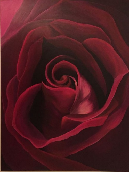 flowers-roses