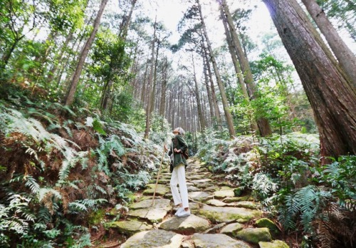 Ise, Japan:Ise and its surrounding regions are home to many of the most important temples and shrine