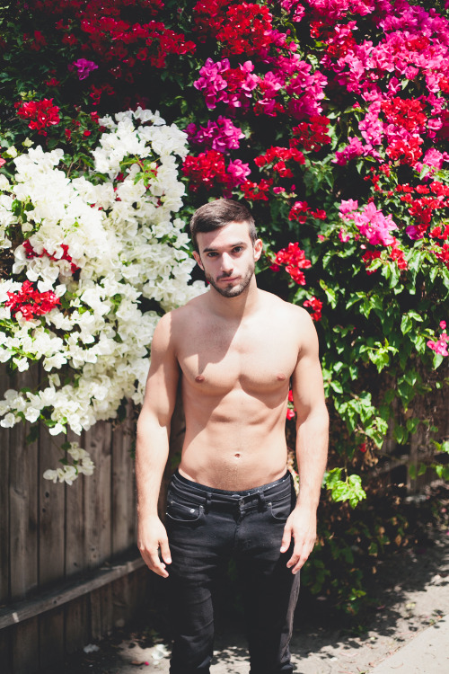 sexbetweenbeards:    