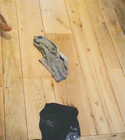 missholmesss:  janeeyr: Benedict Cumberbatch ALS ice bucket challenge   how is this