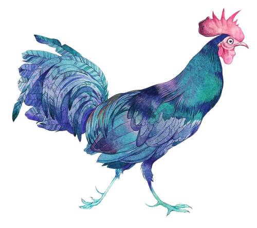 The Gasoline Rooster