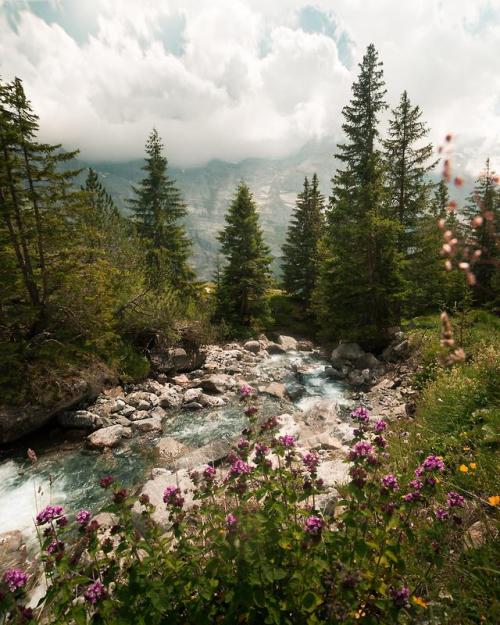 thebeautifuloutdoors:Summer river in the Swiss alps[OC][3398 × 4247] ift.tt/2qbNpgD Hey Tumb
