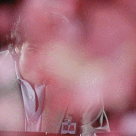 a1e6e9300cd2c393b3b49ad106327b5a1cea89cb.gifv