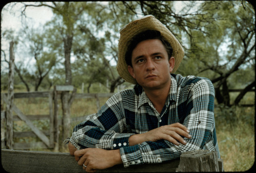 electricstateco:Johnny Cash on the farm in San Antonio, May 1959.