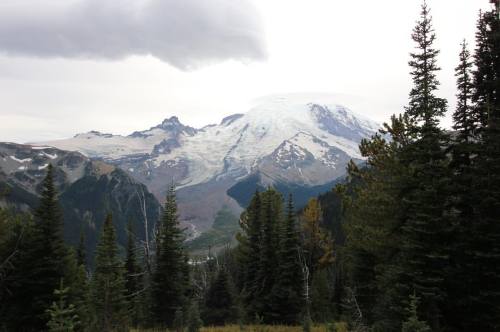 Mount Rainier. Wonderland Trail from Sunrise.