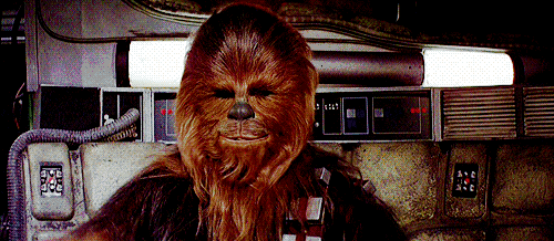 Goodbye Dear Gentle Giant, I'm Going To Miss You. You Will Aways Be With Us Through Chewie. I Hope Carrie