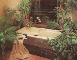 palmandlaser:From Rodale’s Home Design Series: Baths (1987)