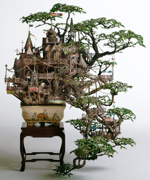 moodboardmix:Bonsai Tree House by takanori aiba