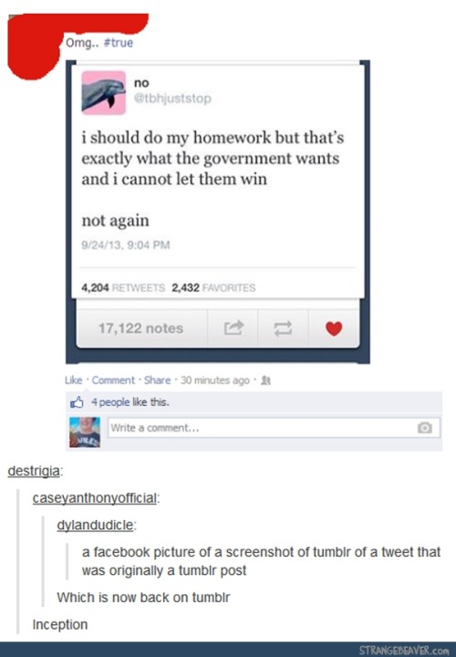 itsstuckyinmyhead:  Best Tumblr Responses  