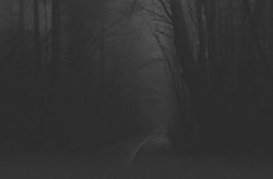 https://69.media.tumblr.com/c9190c40f46cd05fbe18c89766e52051/tumblr_mva2yuYsEC1sceql4o1_500.jpg