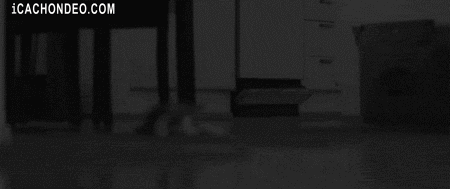 幸福を求めて