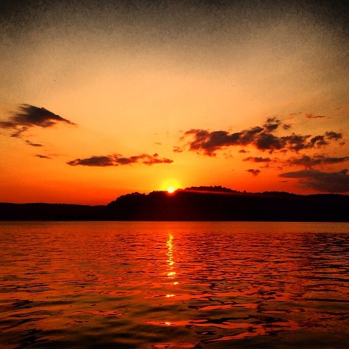 beinhighspirits:  💛🌞💛