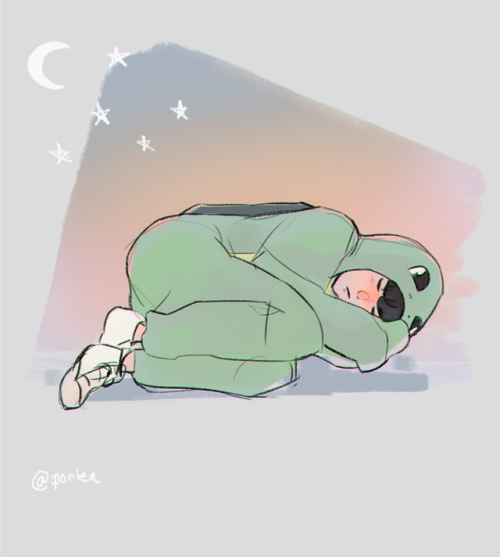 sleepy turtle