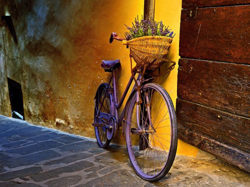 wonderlandarchive: (via Bicycle and Basket Image, Tuscany - National Geographic Photo of the Day)