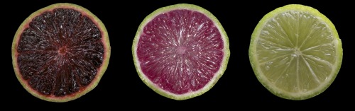 Welcome to the postnormal: Genetically modified limes Left, a lime with genes from red grapes. Cente