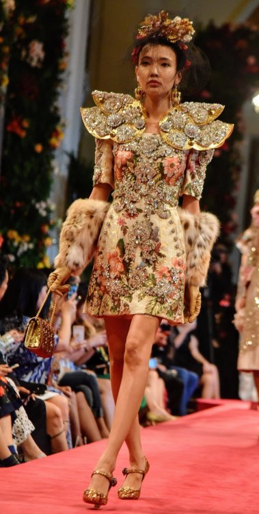skaodi:  Dolce & Gabbana Alta Moda and Alta Sartoria in Hong Kong.