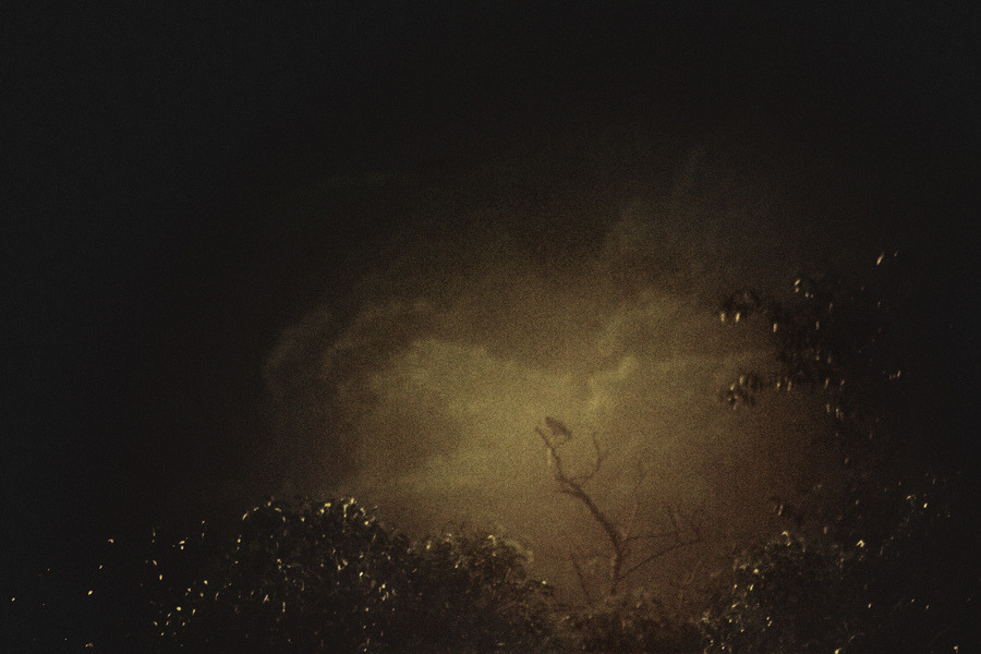 mydarkenedeyes:Rafael M. Milani