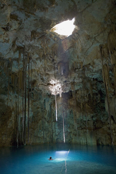 sixpenceee:  This is the Dzitnup natural well in Cancun, Mexico