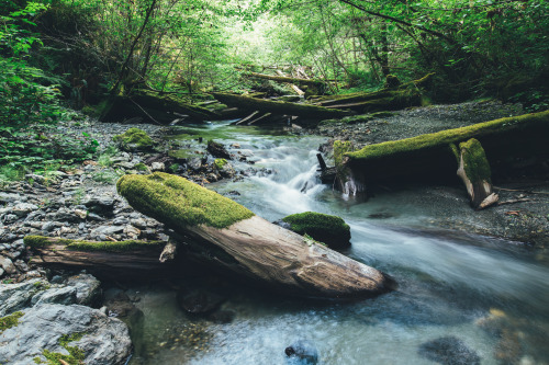 brianfulda:  On Thursday and Friday, I road tripped up to Redwood National Park and the surrounding areas with my good buddy Adam. Being in the presence of some of the tallest and oldest trees in the world is incredibly humbling! Some of the trees we