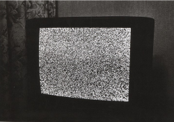 sangatte:  museumuesum :  Daido Moriyama Imitation, 1995 gelatin silver print, 20 x 24 pouces