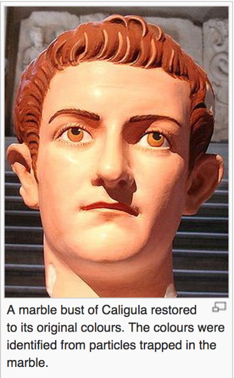 sarahtypeswords: wetorturedsomefolks: memejacker: several-talking-corpses: memejacker: caligula had 