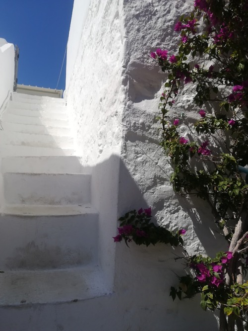 Sifnos, Cyclades 2018