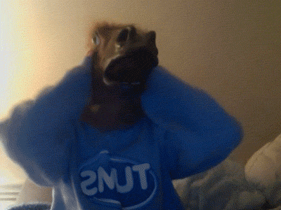 Oh, my fucking furballs. I hit the big 3-0-0 of followers.     Obviously, I can’t contain my excitement.  