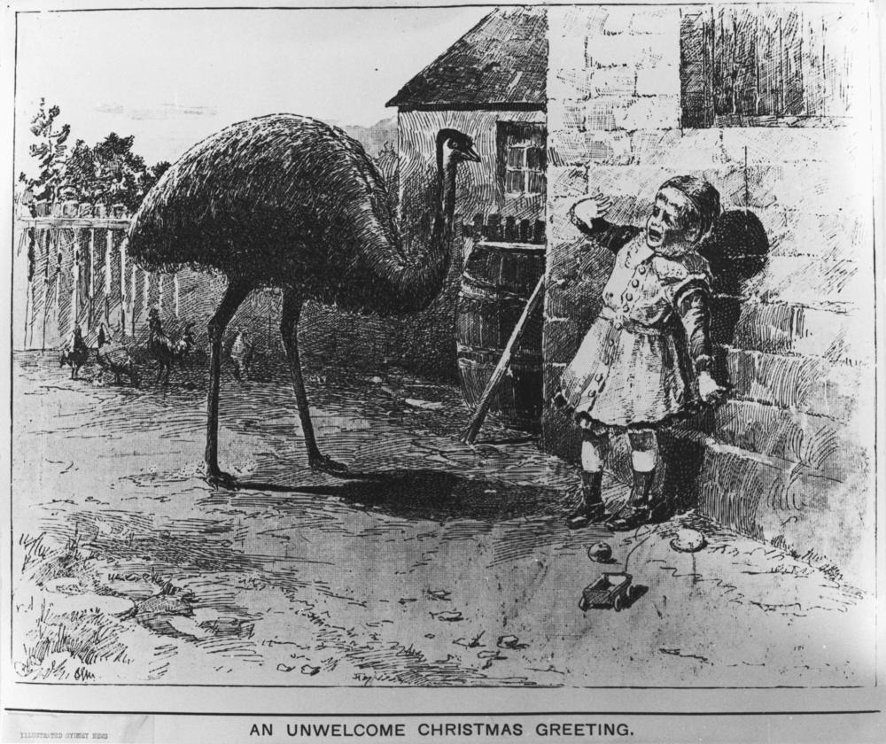 weirdvintage:
“ An Australian Christmas illustration, featuring a terrified child with emu, Victorian (via)
”