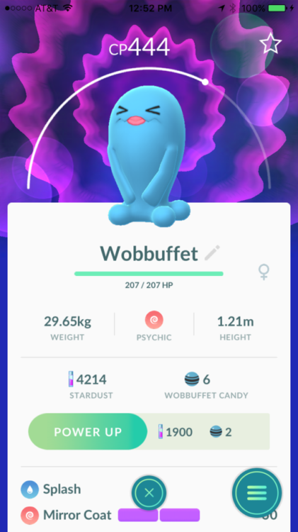 it-has-already-happened:  Is it just me, or does Wobbuffet always look like it needs to pee?