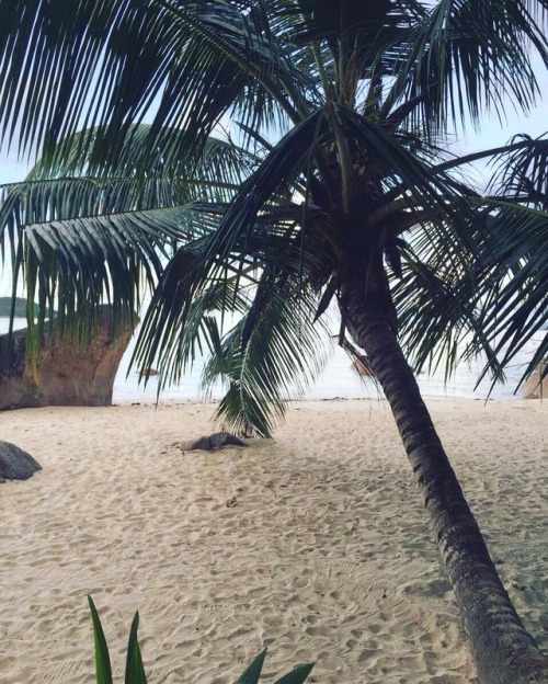thisisgoodfruit: www.instagram.com/p/BE2l0l_DYXn/
